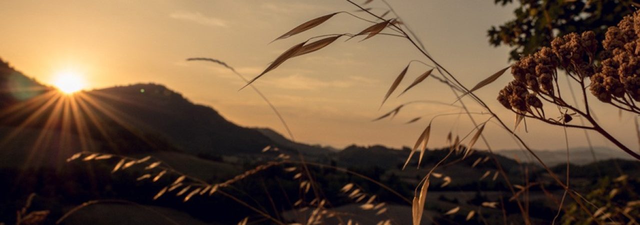 AM2018__0000_6 000 2018_AlteMarche_phCrippi_HQP1011580